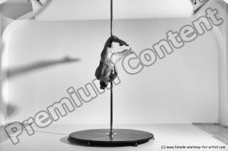 poledance reference 04 21